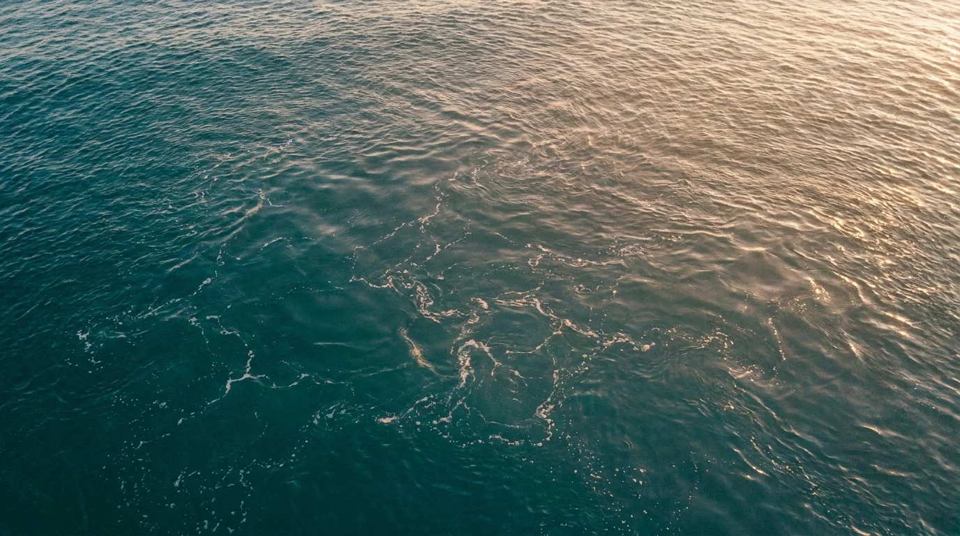 Fort Lauderdale deepwater canal